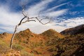 Larapinta_20080606_299 copy